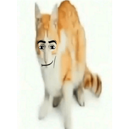 Baixa qualidade 15