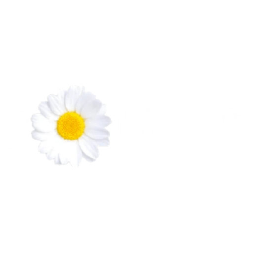 Bom dia, tarde, noite 🫶🏻 26