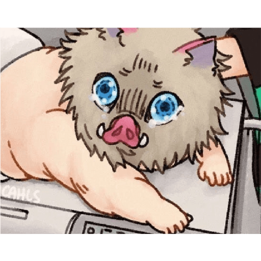 Inosuke chiquito 15