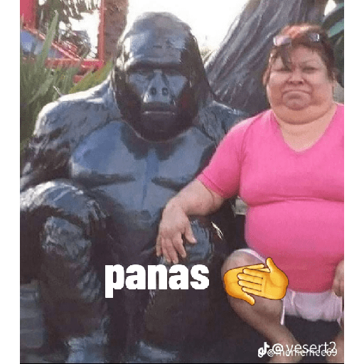Memes momazos super 28