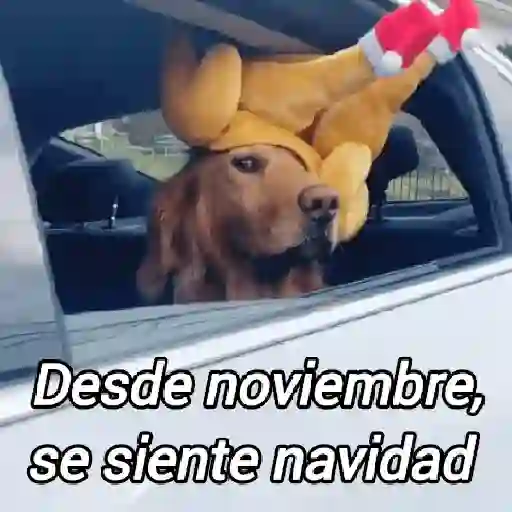 🎄❄️Navidad~2️⃣⛄