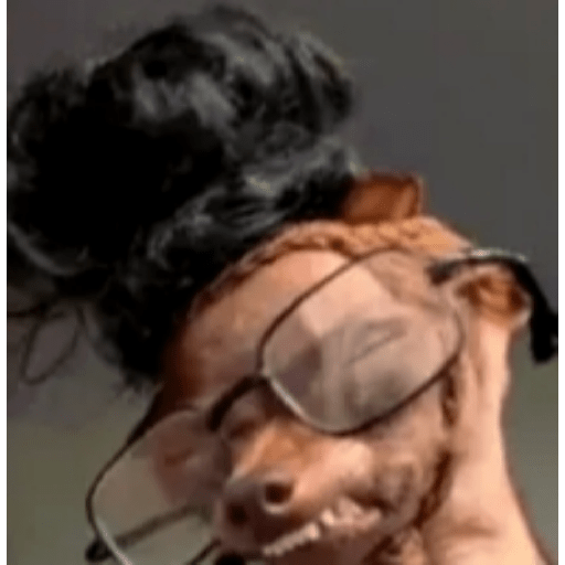 Memes de Perritos ੯‧̀͡⬮ 7