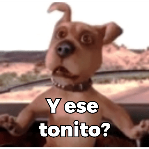Memes de Perritos ੯‧̀͡⬮ 4