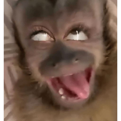 TikTok Memes 🤣 8