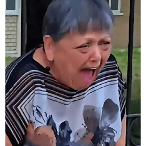 TikTok Memes 🤣 5