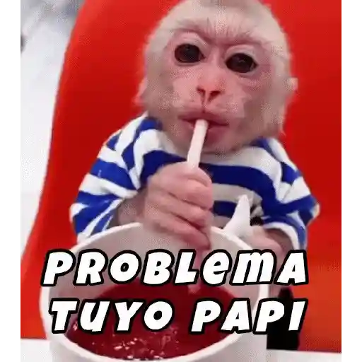 🙈Monos🙉Changos🙊