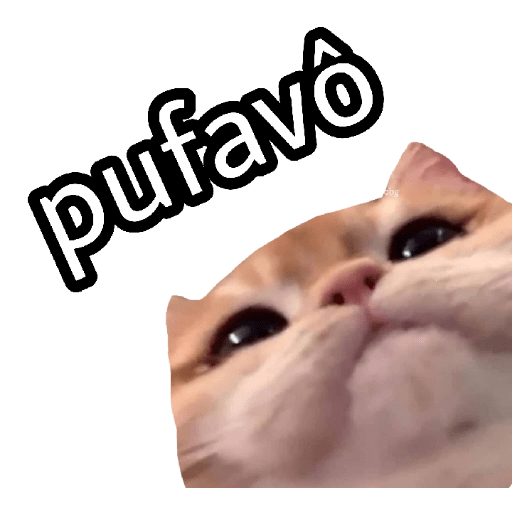 Memes do momento ✌🏽 5