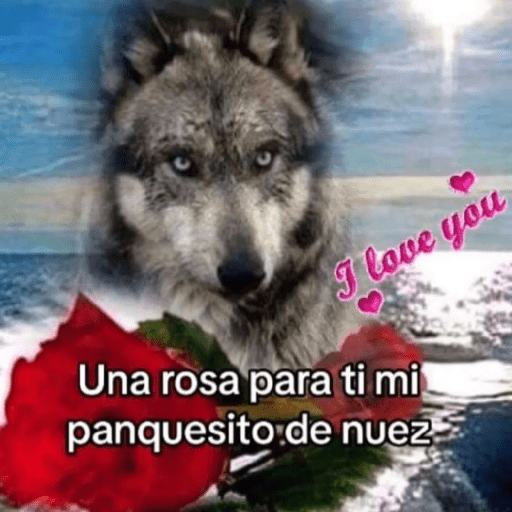 Sticker 6