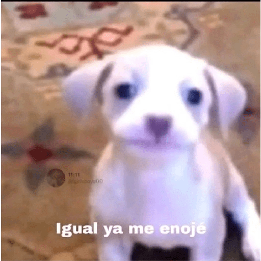 1669033068626.png