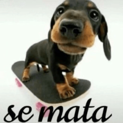 Cu di cria 27