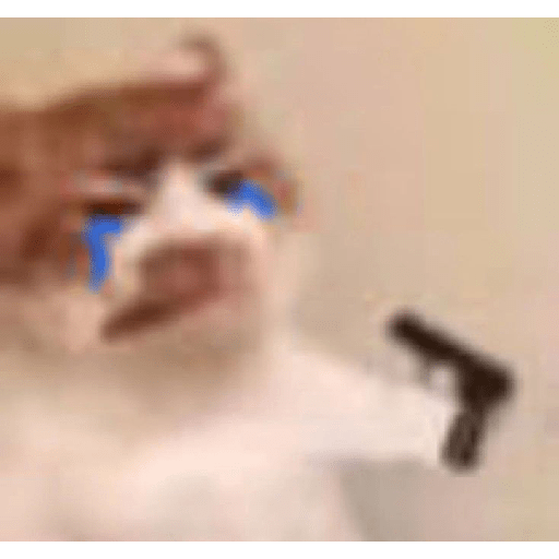 Never gonna give you up  24
