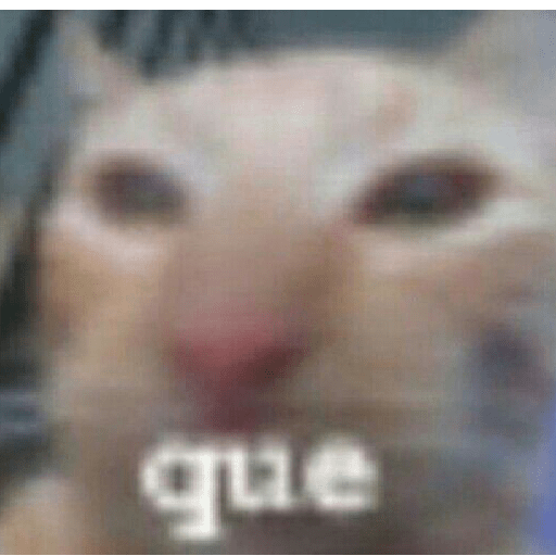 Never gonna give you up  16
