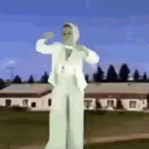 Animadas 3 8