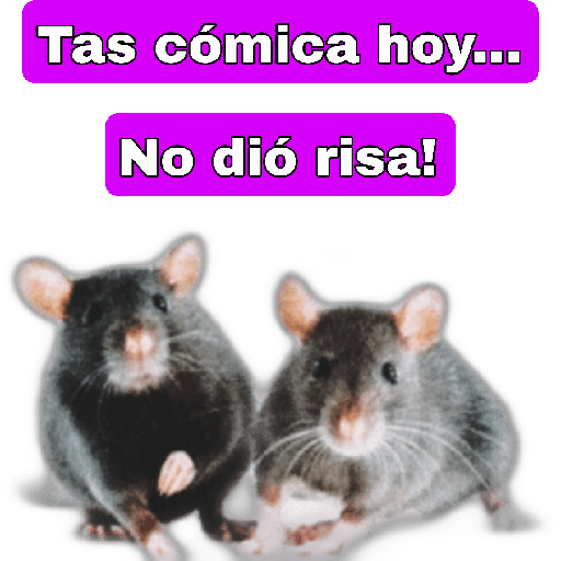 🤣🐀•RATITAS•🐀🤣 13