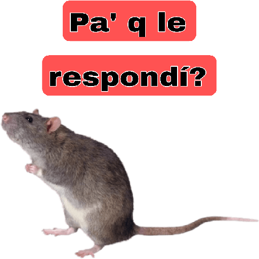🤣🐀•RATITAS•🐀🤣 12
