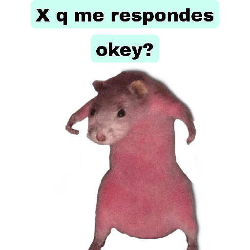 🤣🐀•RATITAS•🐀🤣 11