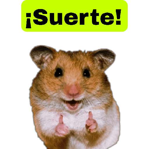 🤣🐀•RATITAS•🐀🤣 10