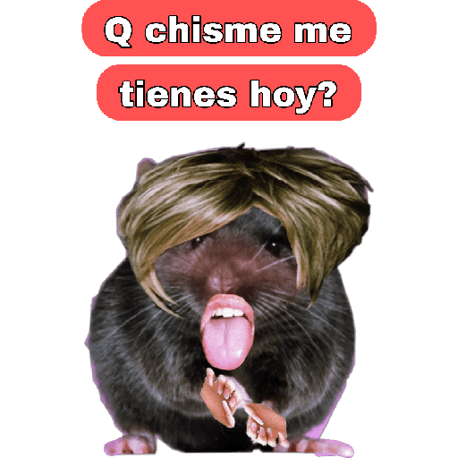 🤣🐀•RATITAS•🐀🤣 9