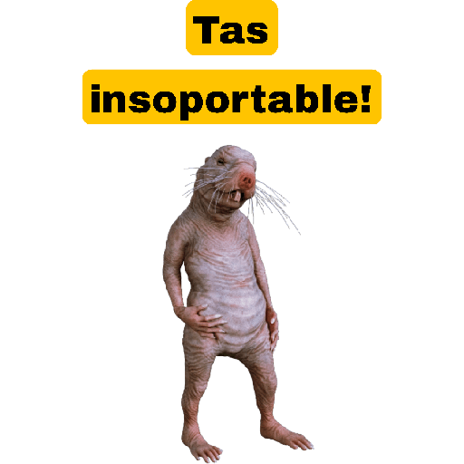🤣🐀•RATITAS•🐀🤣 8