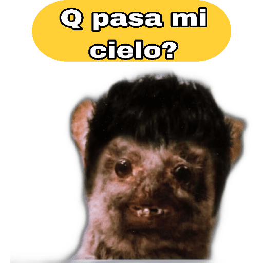 🤣🐀•RATITAS•🐀🤣 7