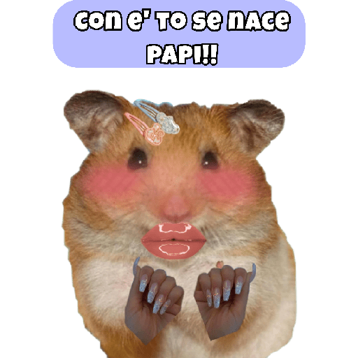 🤣🐀•RATITAS•🐀🤣 5