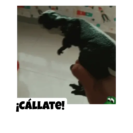 Dino🦕ZaZa|Funny Gifs🤣