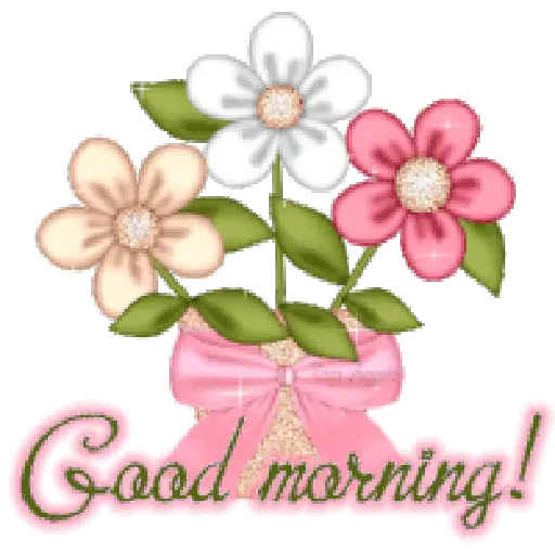 🌼🌤️•Good Morning•🌤️🌼