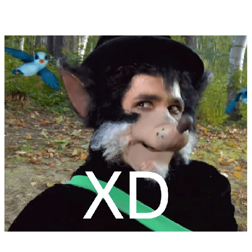No se que poner xd 10