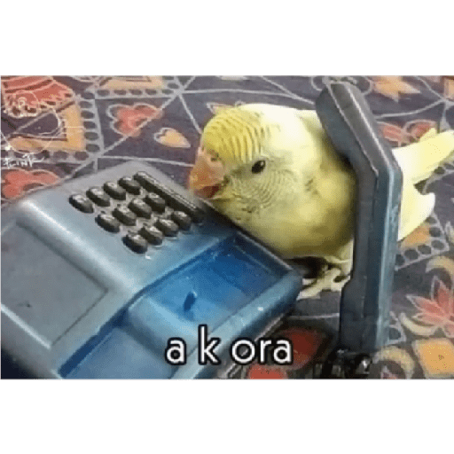 No se que poner xd 4