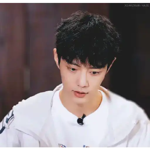 Zhan-gg 8