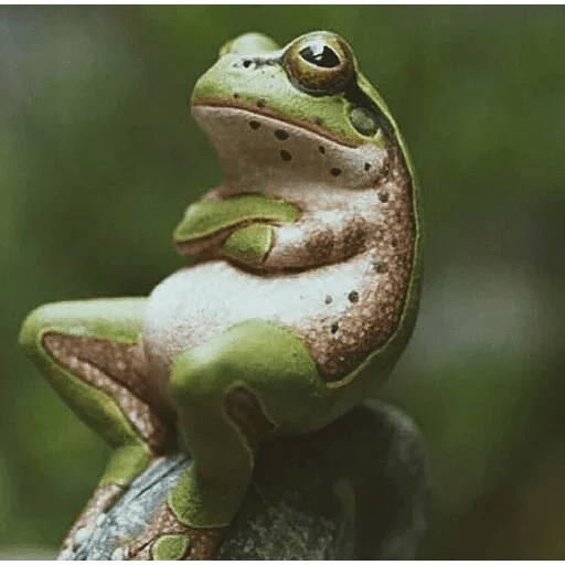 ANIMAIS ENGRAÇADOS 13