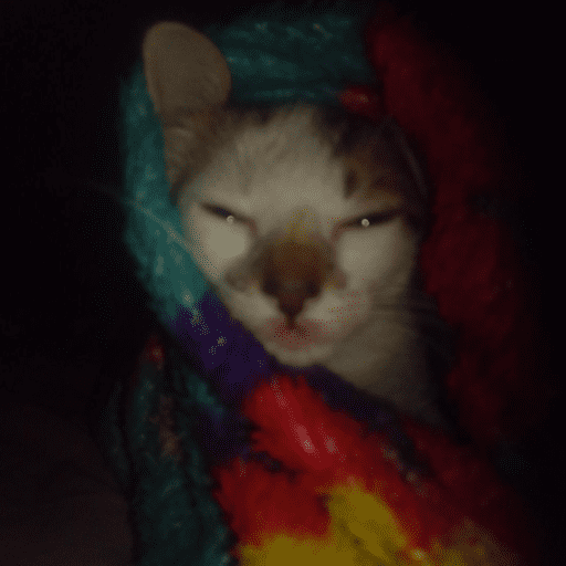 😽 RESPONDE CON MICHIS 😽 6