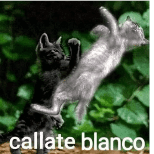 😎 SHITPOST MOMENT 😎 12