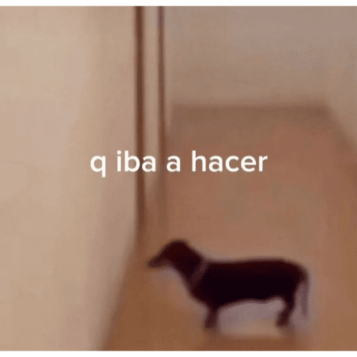 😎 SHITPOST MOMENT 😎 11