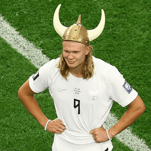 🇳🇴 HAALAND MOODS 🇳🇴 11