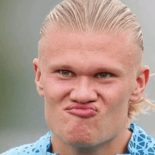 🇳🇴 HAALAND MOODS 🇳🇴 13