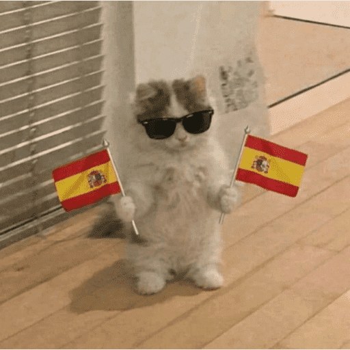 🇪🇸 ESPAÑA CAMPEÓN 🇪🇸 3