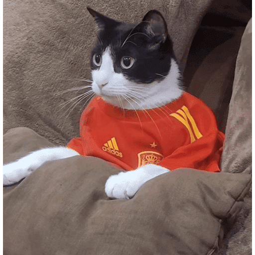 🇪🇸 ESPAÑA CAMPEÓN 🇪🇸 8