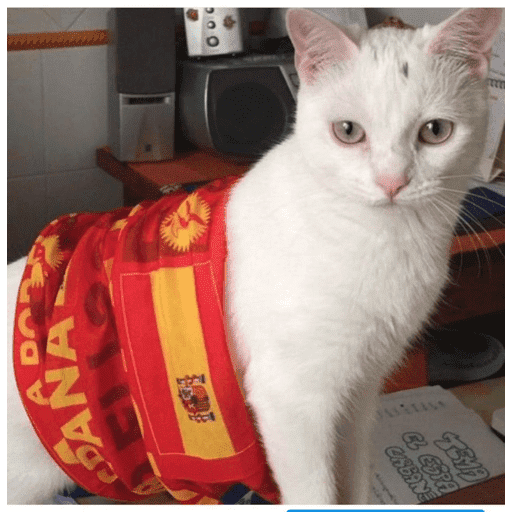 🇪🇸 ESPAÑA CAMPEÓN 🇪🇸 7