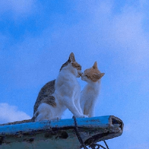 30 falling love 4