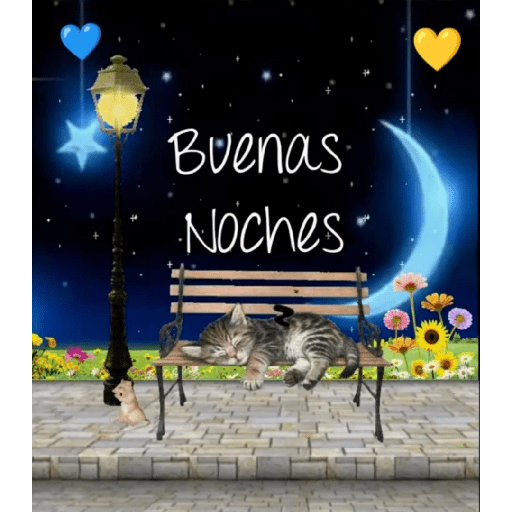 Buenas noches 1