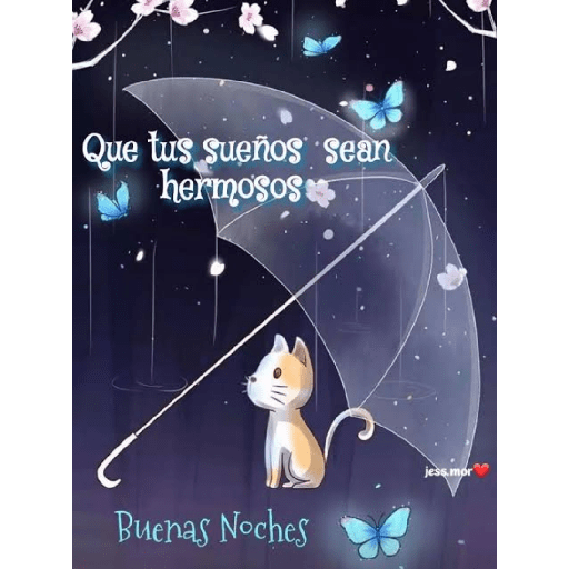 Buenas noches 4
