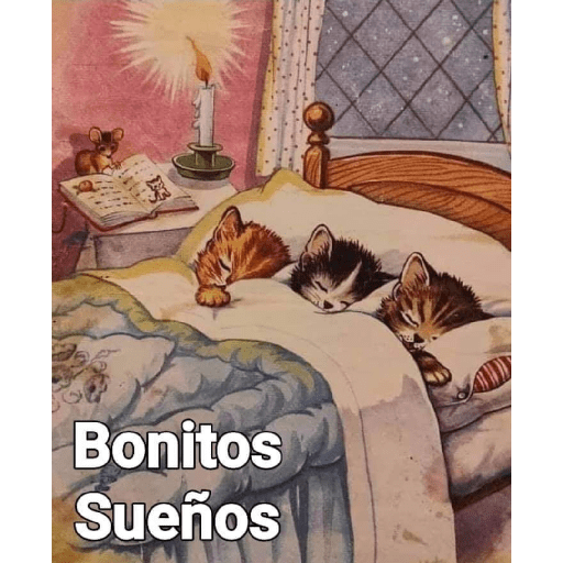 Buenas noches 2