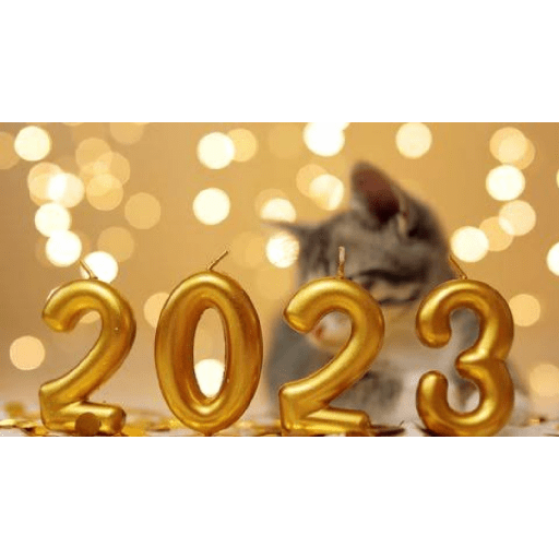 2023!🐱 1