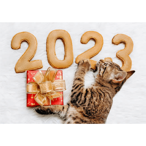 2023!🐱 3