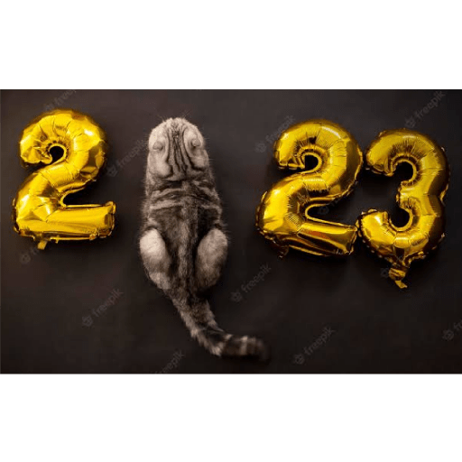 2023!🐱 4