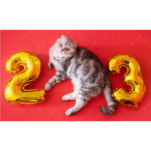 2023!🐱 5