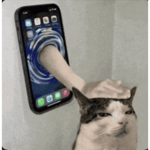 Gato 10