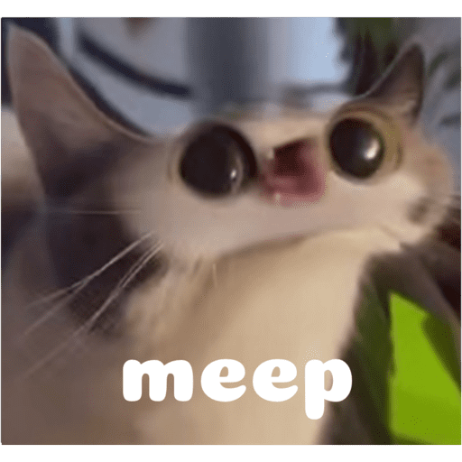 Gato 8