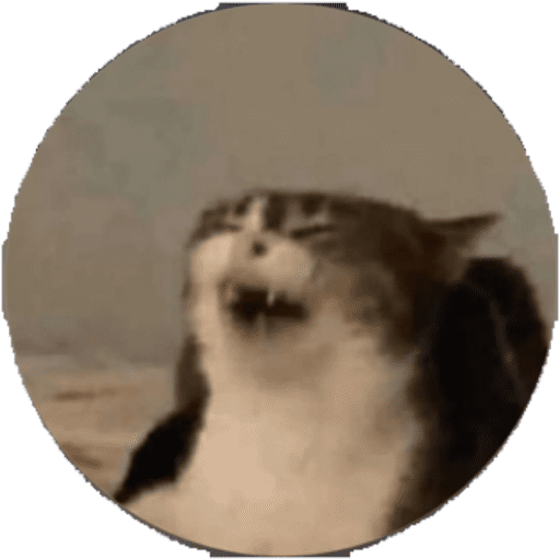 Gato 1